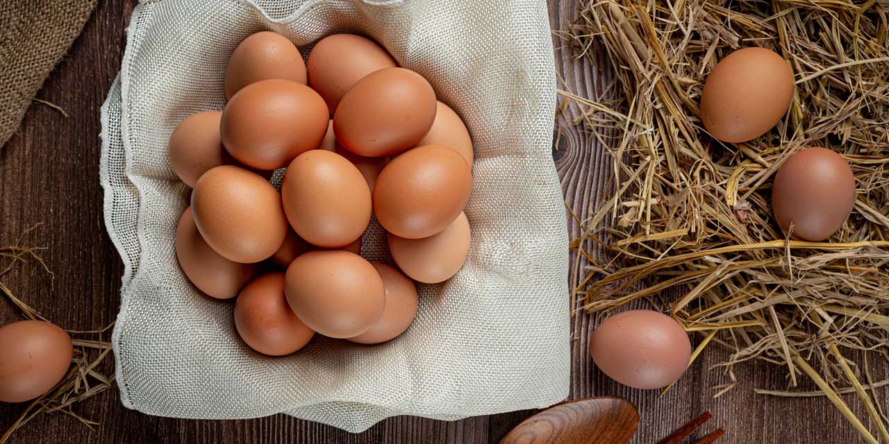Ovos: o combustível perfeito para o seu cérebro e músculos