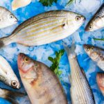 Peixes frescos, congelados ou secos: qual escolher?