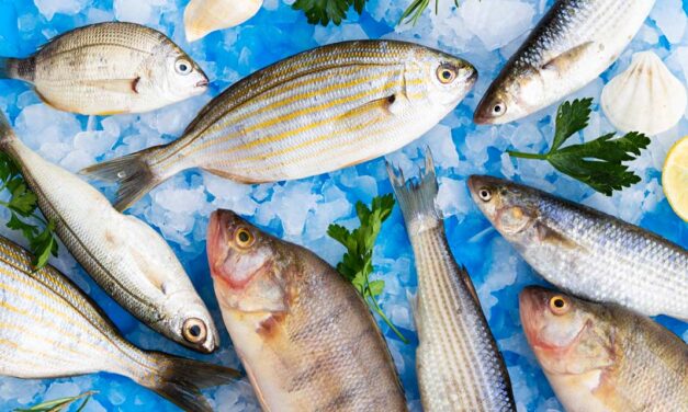 Peixes frescos, congelados ou secos: qual escolher?