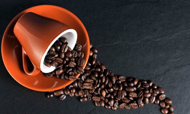 Conheça os diferentes métodos de preparo de café