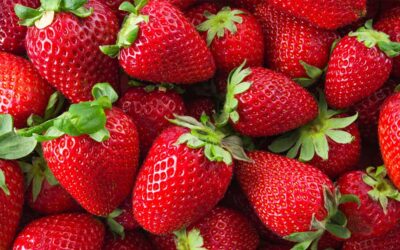 Festa do Morango em Bragança Paulista estreia nesta quinta