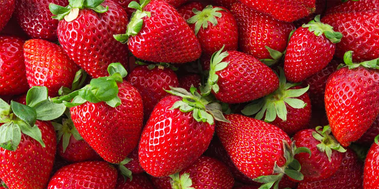 Festa do Morango em Bragança Paulista estreia nesta quinta