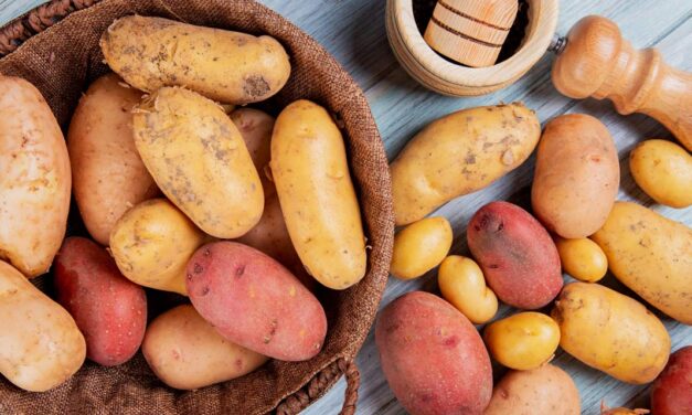 Tipos de batatas: um mundo de opções na sua cozinha