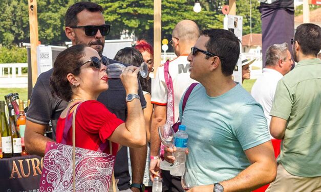 Vinho na Vila em BH ocorre neste fim de semana