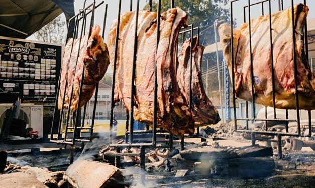 Burning Fest no Santana Parque, em São Paulo, começa quinta