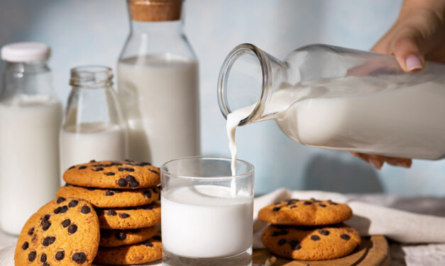 Tipos de leite e seus benefícios nutricionais