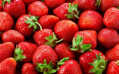 Festa do Morango em Suzano inicia nesta quinta-feira