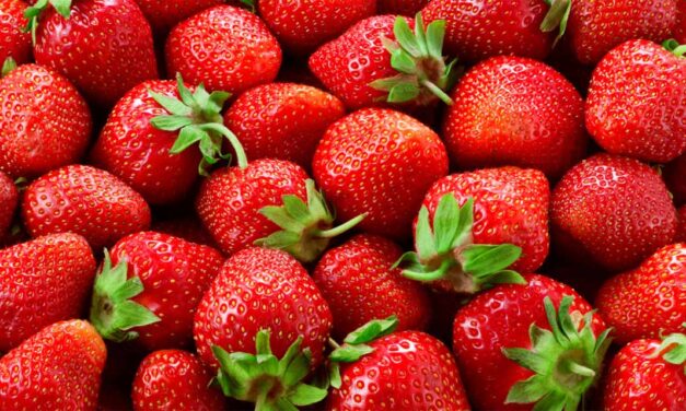 Festa do Morango em Suzano inicia nesta quinta-feira