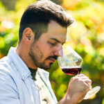 Dia do Enólogo: conheça a importância desse profissional