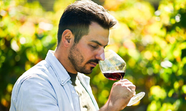 Dia do Enólogo: conheça a importância desse profissional
