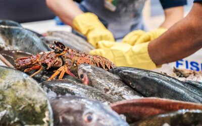 Seafood Show Latin America 2024 desembarca em São Paulo