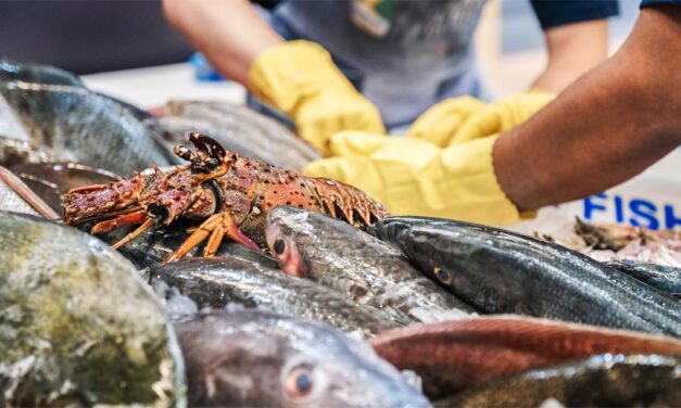 Seafood Show Latin America 2024 desembarca em São Paulo