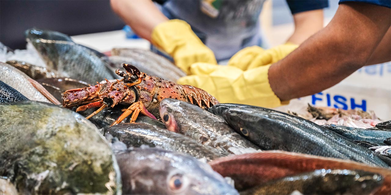 Seafood Show Latin America 2024 desembarca em São Paulo