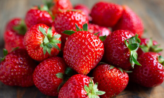 Festa do Morango em Caraguatatuba ocorre a partir desta quinta