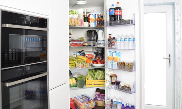 Qual a melhor geladeira: Brastemp ou Electrolux?