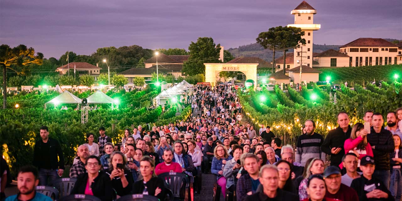 Natal nos Vinhedos: Vinícola Miolo encanta moradores e turistas