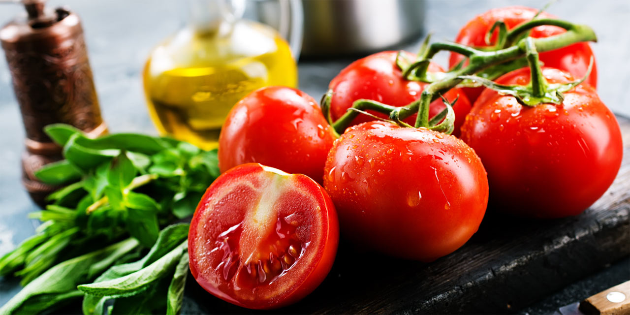 Dia do Tomate: celebrando o fruto que conquistou o mundo