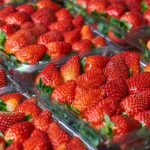 Festa do Morango agita São José dos Campos a partir de quinta