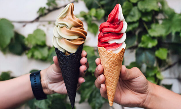 Nova franquia de sorvetes artesanais estreia em São Paulo