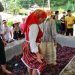 Quinta do Olivardo em São Roque celebra a Pisa da Uva