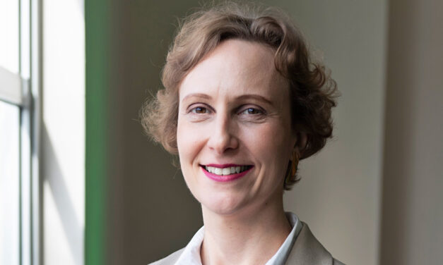 Saudabilidade orienta novas criações na indústria