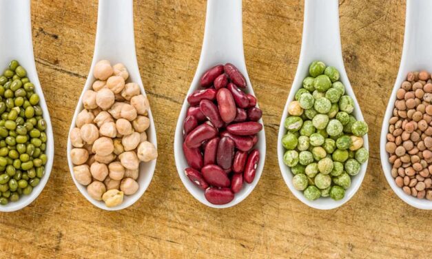 Dia Mundial das Leguminosas: o poder dos grãos na alimentação