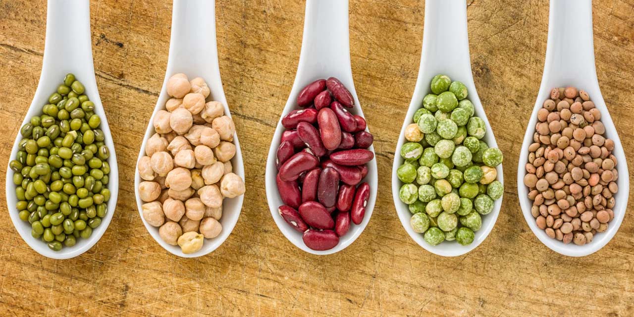 Dia Mundial das Leguminosas: o poder dos grãos na alimentação