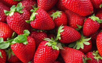 Festa do Morango em Resende tem início nesta quinta