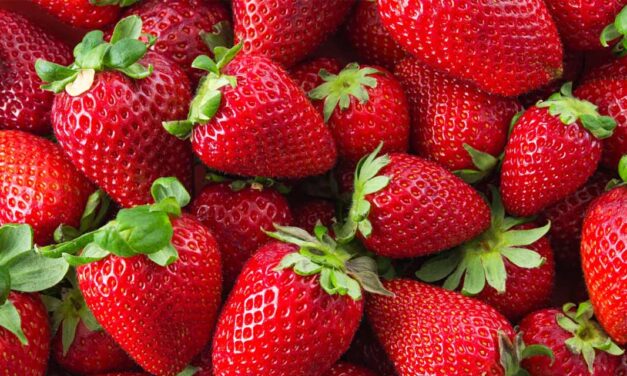 Festa do Morango em Resende tem início nesta quinta