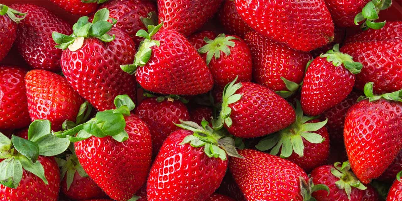 Festa do Morango em Resende tem início nesta quinta