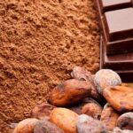 Dia do Cacau: da história milenar à transformação em chocolate
