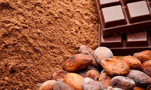 Dia do Cacau: da história milenar à transformação em chocolate