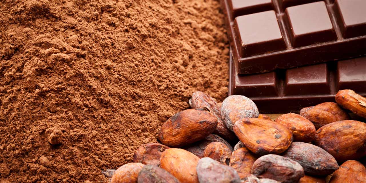 Dia do Cacau: da história milenar à transformação em chocolate