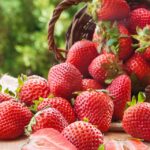 Festa do Morango anima o Partage Santana a partir desta quinta