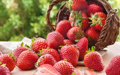 Festa do Morango anima o Partage Santana a partir desta quinta