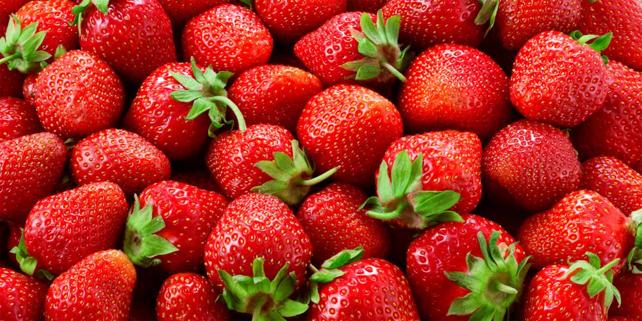 Festa do Morango em Extrema começa nesta quinta