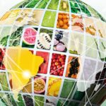 Fruit Attraction São Paulo retorna nesta terça para sua 2ª edição