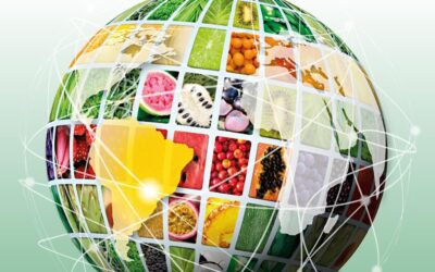 Fruit Attraction São Paulo retorna nesta terça para sua 2ª edição