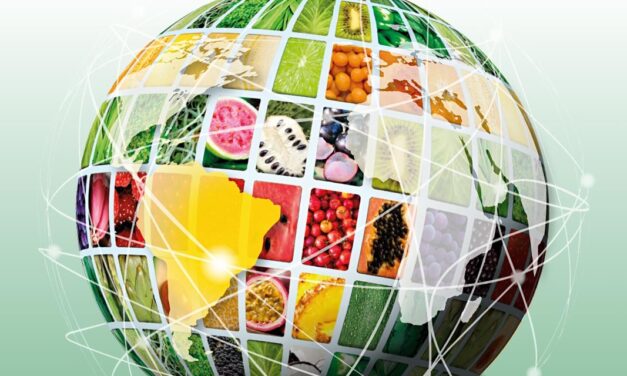 Fruit Attraction São Paulo retorna nesta terça para sua 2ª edição