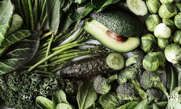 Plant-based no Brasil: mercado já movimenta R$ 1,2 bilhão