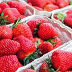 Betim se prepara para a próxima Festa do Morango