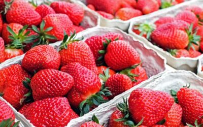 Betim se prepara para a próxima Festa do Morango