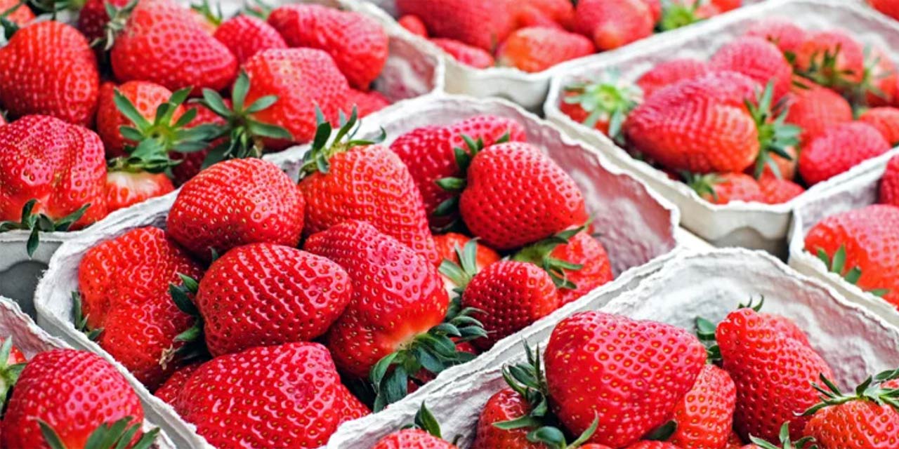 Betim se prepara para a próxima Festa do Morango