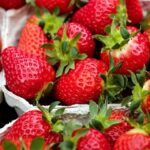 Festa do Morango em Itaguaí começa nesta quinta-feira