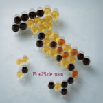 Settimana del Vino Italiano retorna a São Paulo