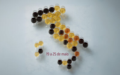 Settimana del Vino Italiano retorna a São Paulo