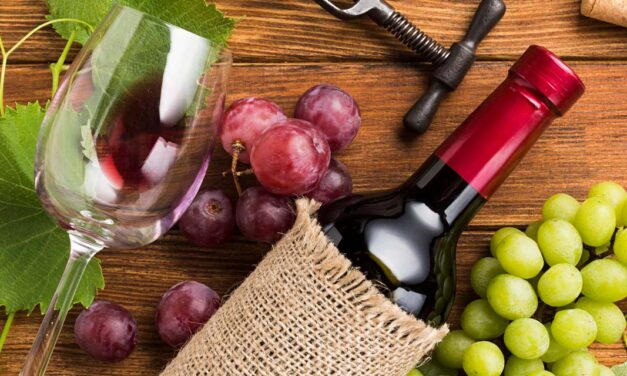 Vinho vegano: o que é, quais os benefícios e como identificá-lo