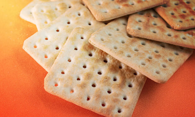 Dia do Biscoito celebra um clássico que atravessa gerações