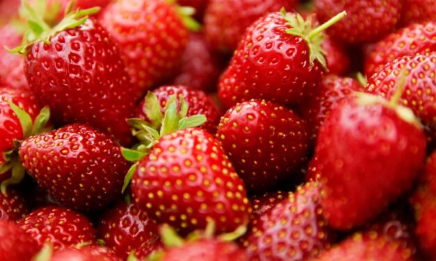 Nova Lima recebe festa com o morango do amor como atração