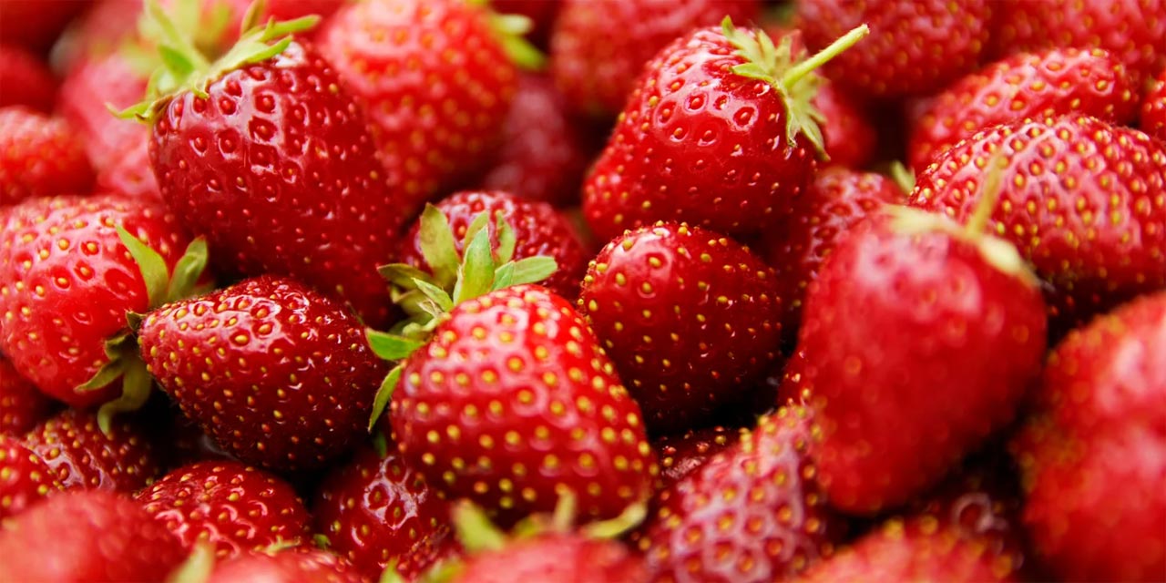 Nova Lima recebe festa com o morango do amor como atração